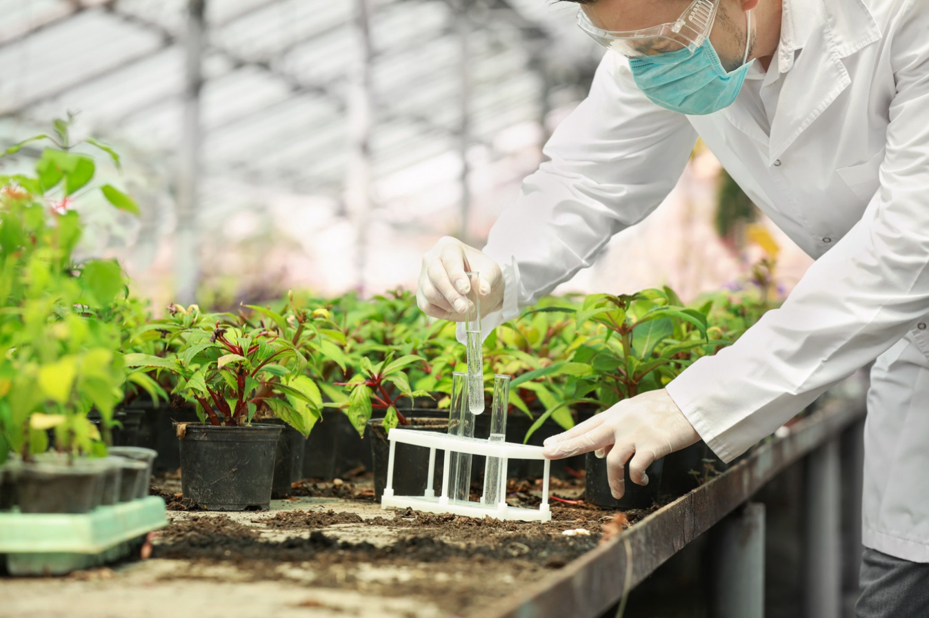 اختبارات الاستدامة